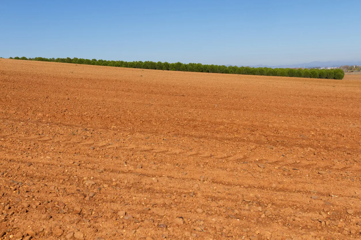 Campo de Tierra preparada para el Cultivo. La zeolita ayuda a la retención de nutrientes y agua