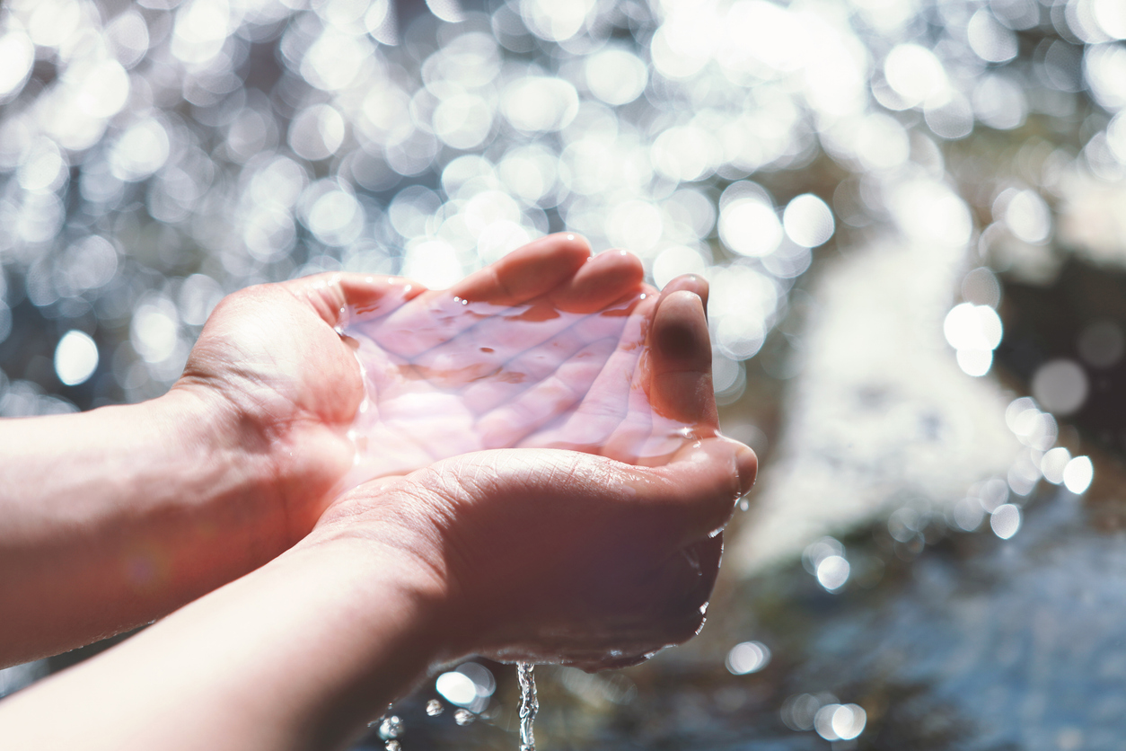 Cerca de una chica sosteniendo sus manos juntas con agua limpia y clara y parcialmente sumergida 
