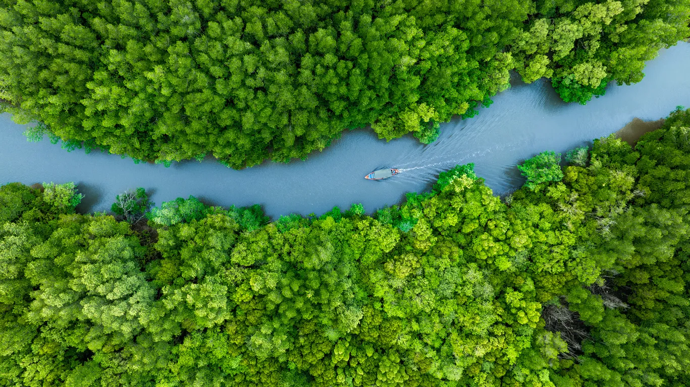Imagen de ¿Qué es el proceso de potabilización del agua? Explicación para niños