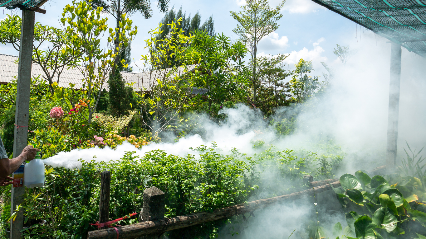 Un hombre rocía humo blanco para repeler las picaduras de mosquitos.