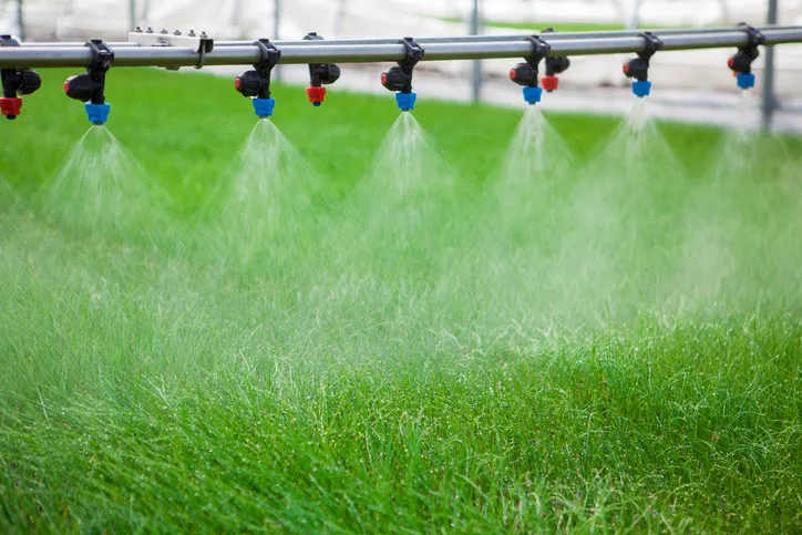 Se muestra la realización de fertirriego en cultivo 