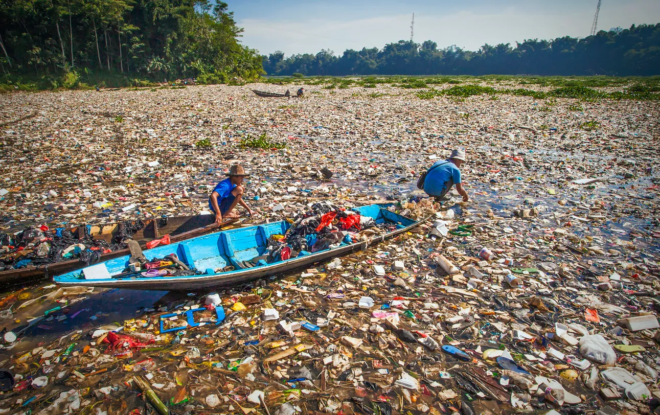 Tipos de contaminantes