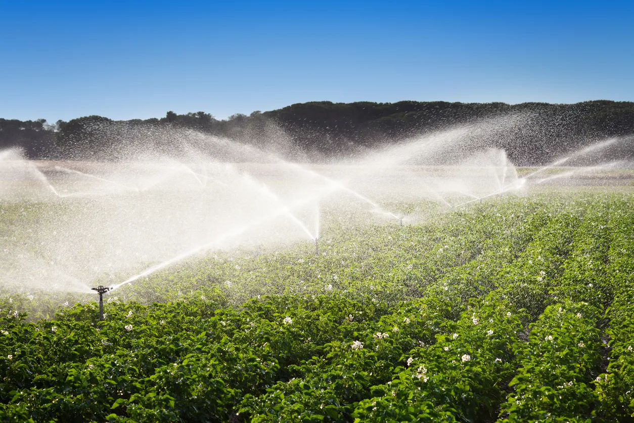 Agua Tratada: Qué Es, Para Qué Sirve y Sectores Donde Se Utiliza