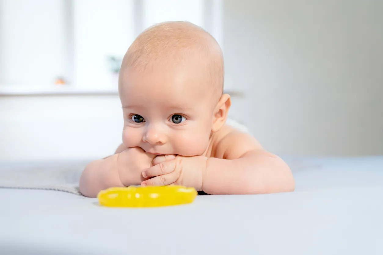 Proveedores y distribuidores de mordederas para bebé