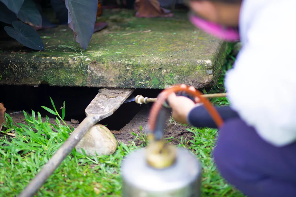 Tratamiento, Control de Plagas, Fumigación