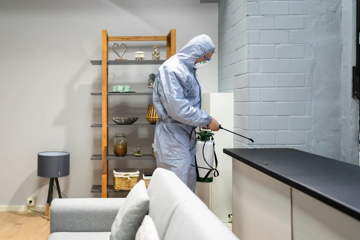 Exterminador de control de plagas rociando pesticida contra termitas