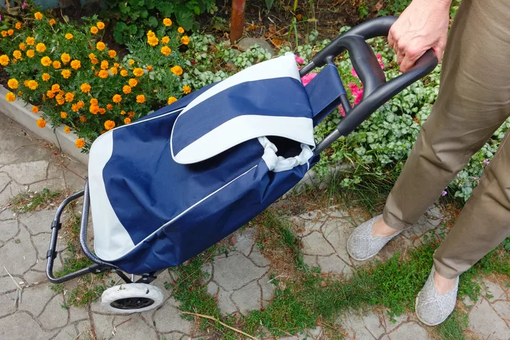 Mujer con una bolsa de compras sobre ruedas