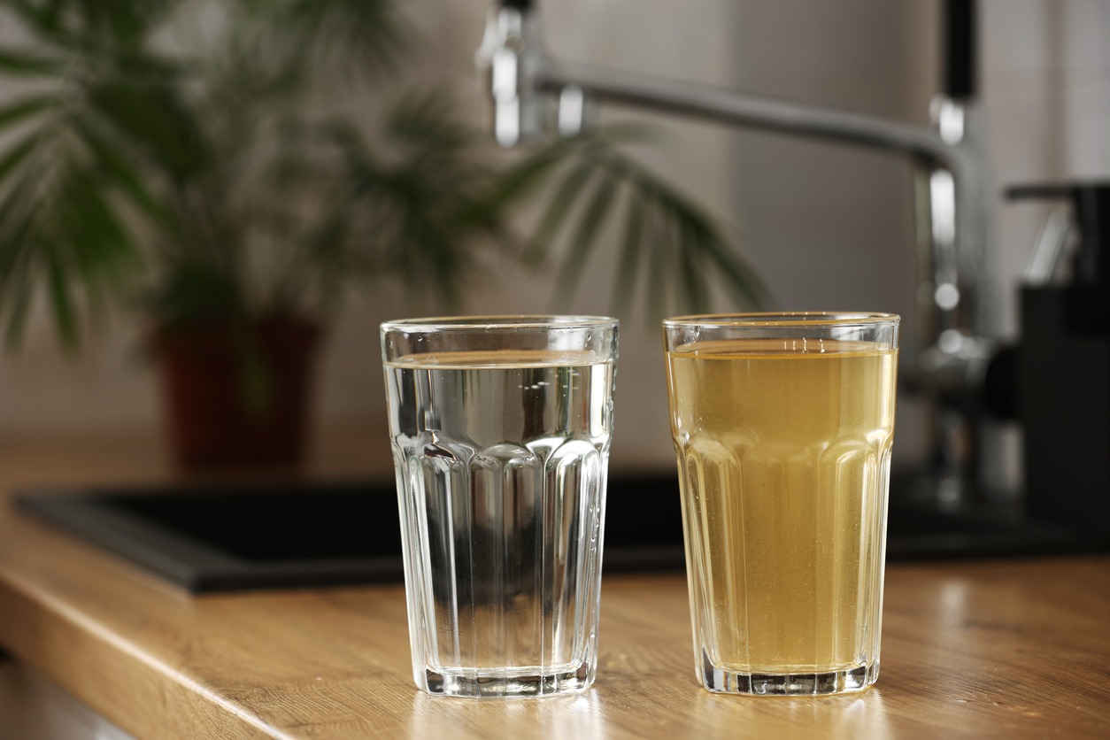 Membrana de filtrado por ósmosis inversa en tratamiento de agua, reducción de sales y aplicaciones industriales