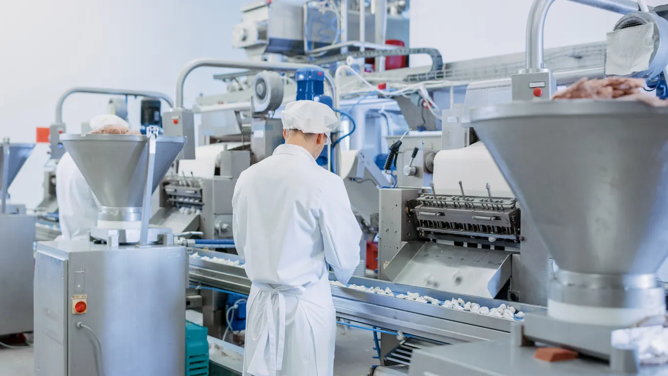 Dos jóvenes empleados trabajan en una fábrica de alimentos, operando una cinta transportadora de alimentos.