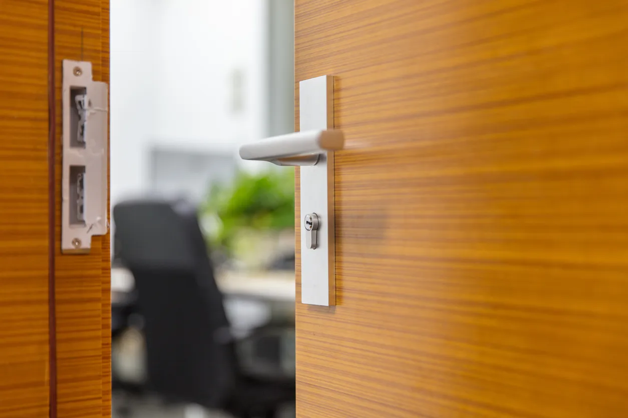 Aspectos Clave al Seleccionar Molinete Para Puerta De Madera