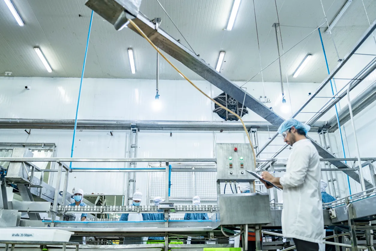El supervisor científico de la planta de procesamiento de alimentos examina los sistemas de control industrial,
