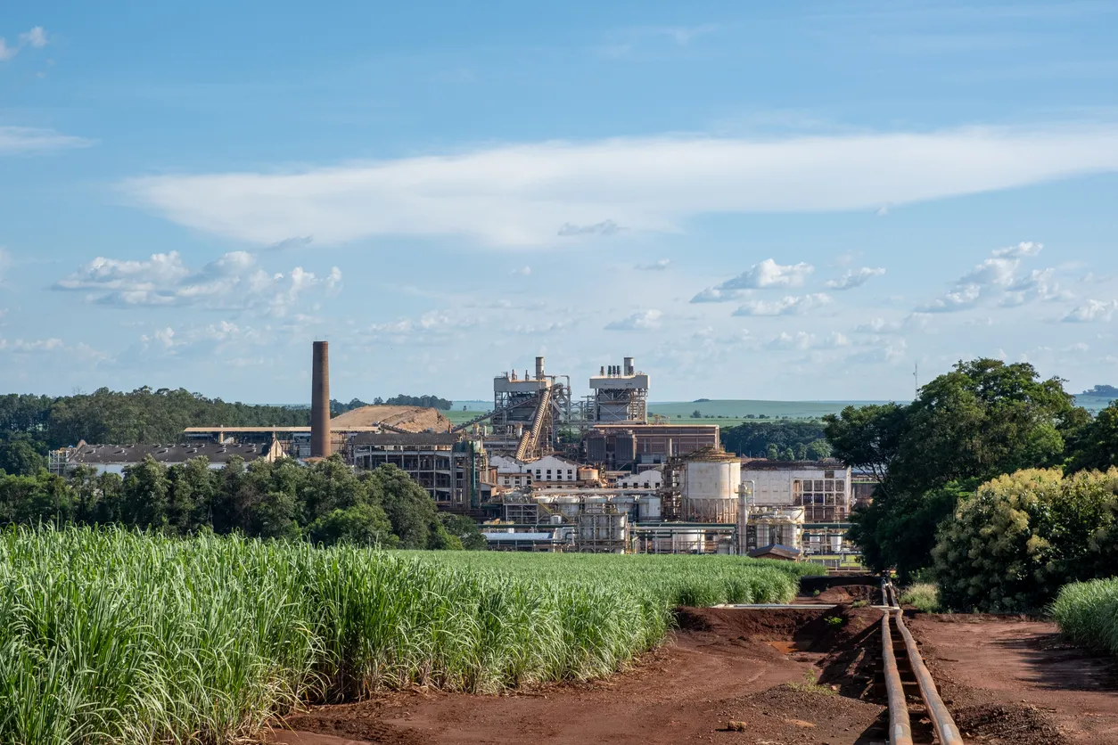 Sellos industriales para la industria azucarera