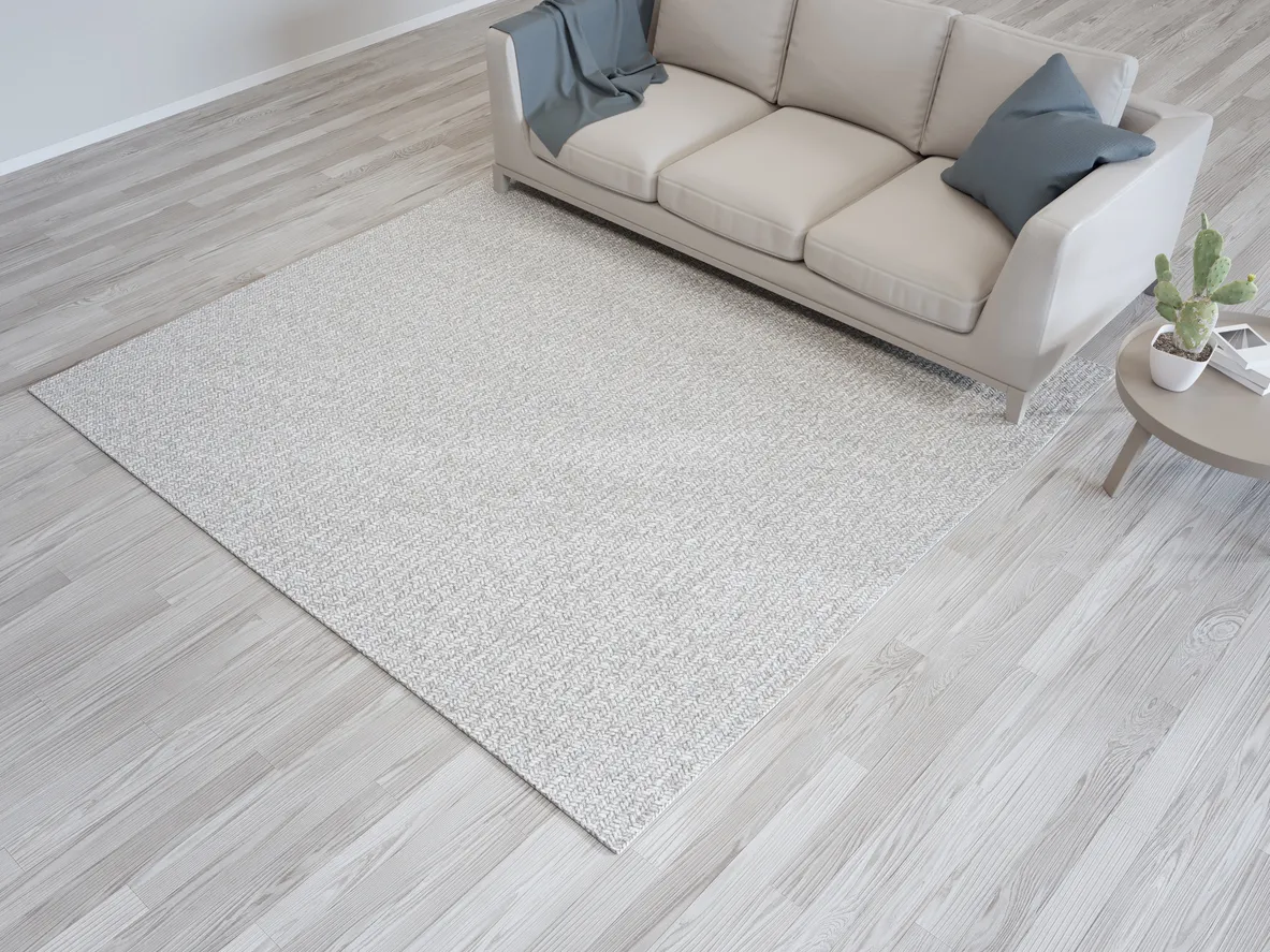 Alfombra y sofá cerca de pared blanca de luminoso salón en casa moderna o apartamento.