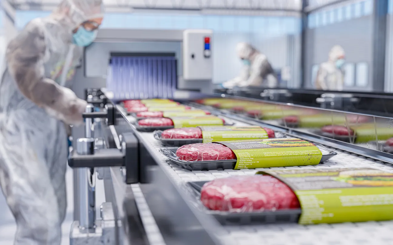 Transportador en una fábrica de chuletas de hamburguesas vegetales a base de plantas preparadas - una fábrica moderna ecológi
