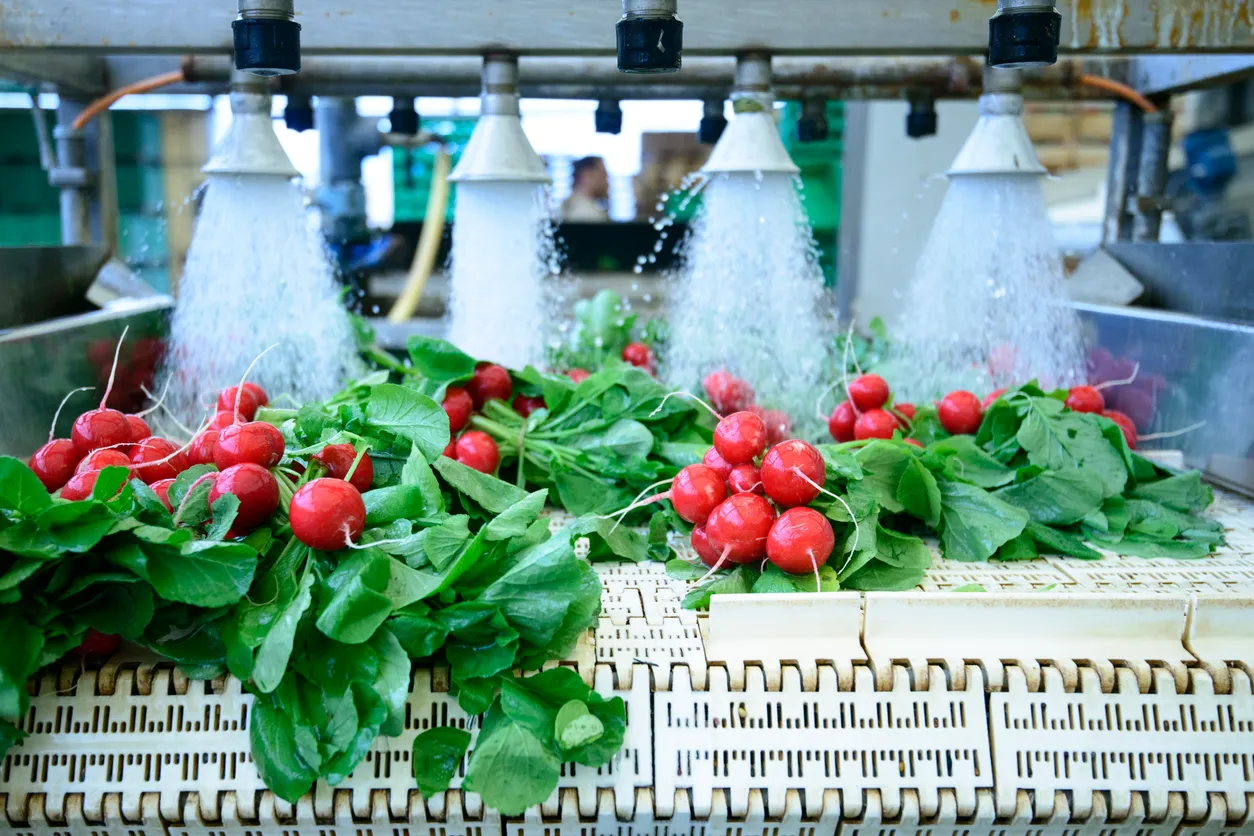 industria alimentaria, verduras siendo lavadas en industria