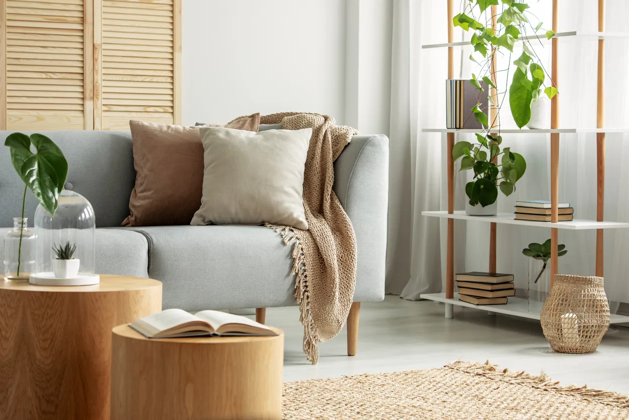 Moderna sala de estar en estilo natural y botánico