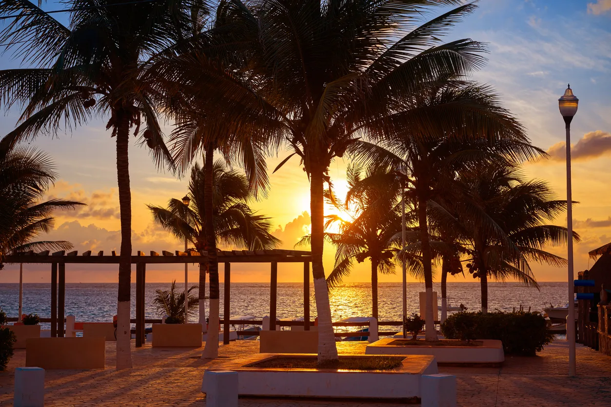 Palmeras de Riviera Maya sunrise beach 