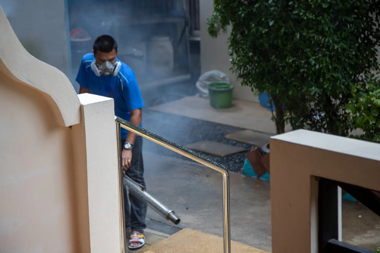 Tratamiento contra insectos. Un hombre con máscara protectora fumiga el patio de una casa