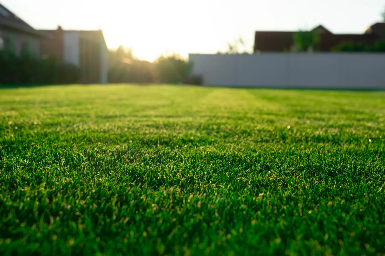 Patio trasero de la casa con césped verde y rayos de sol 