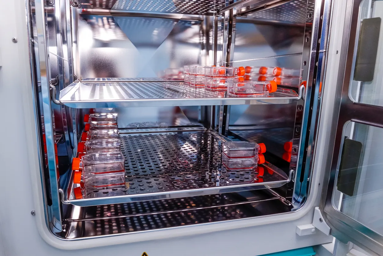 Guía de compra: incubadoras de laboratorio