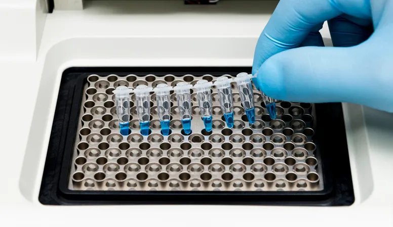 Guía de compra: kits de extracción de ADN y ARN