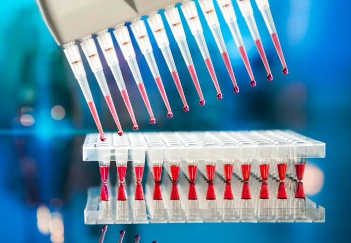 Herramientas para la amplificación de ADN mediante PCR