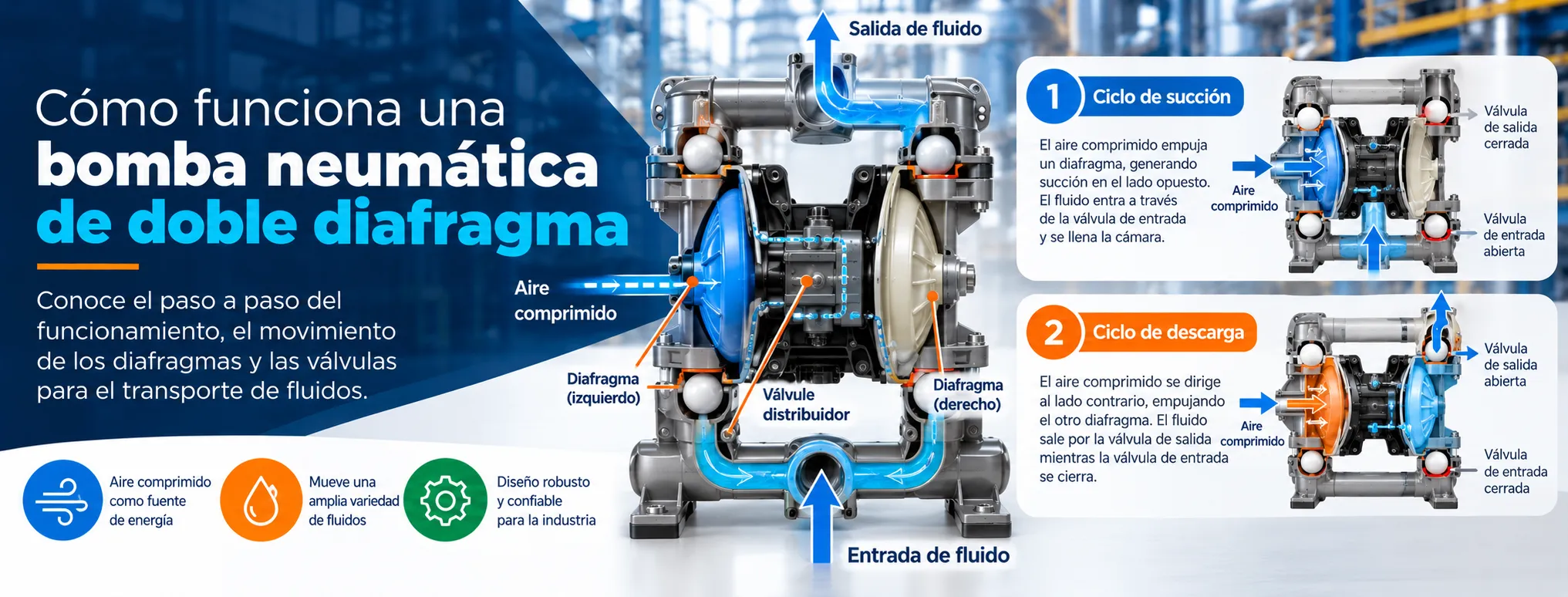 se muestra una diagrama de como funciona una bomba de diafragma, su ciclo de succión y de descarga