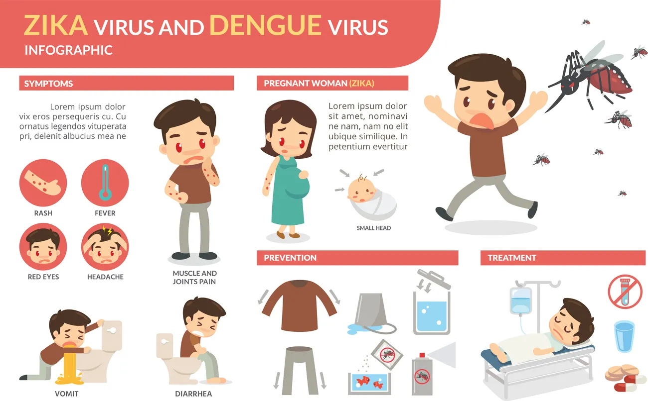 Dengue: síntomas, etapas y signos de alarma que debes conocer