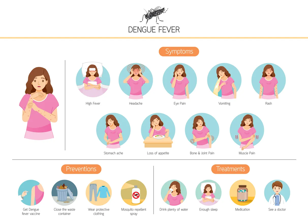 Repelente contra dengue: cómo funciona, tipos y uso seguro