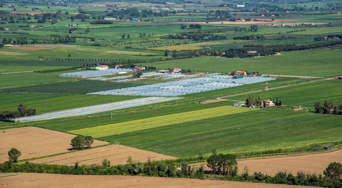 vista area de un gran cultivo. La zeolita apoya al aprovechamiento de nitrógeno 