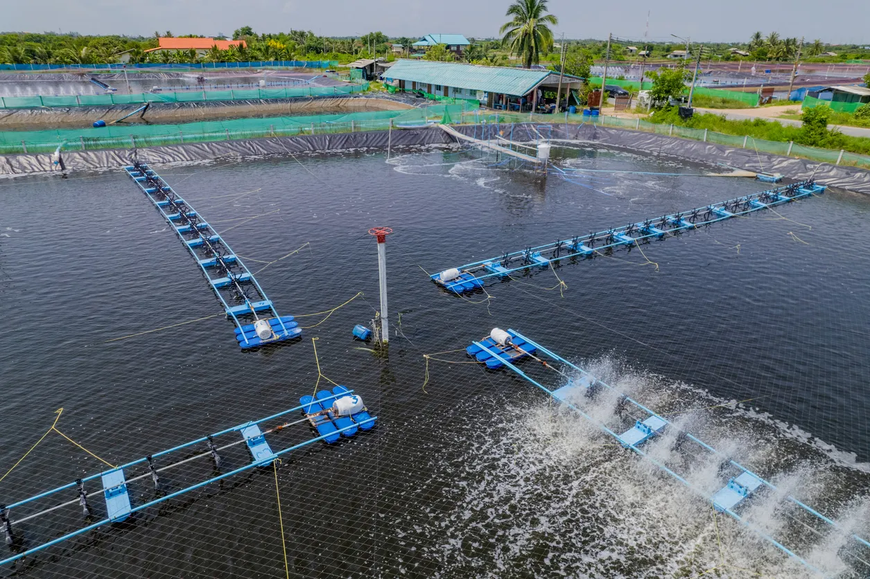 Zeolita para remoción de amonio en agua