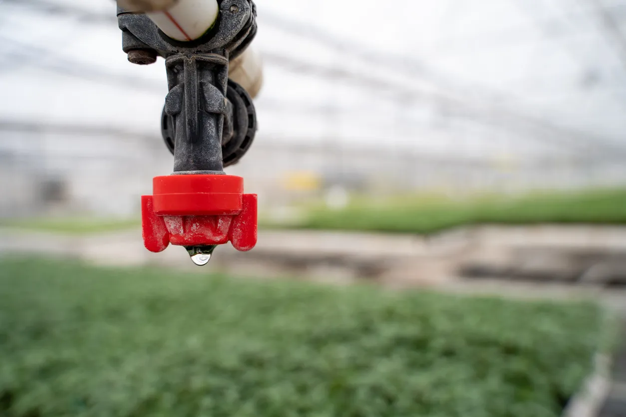 Zeolita en riego para agua dura