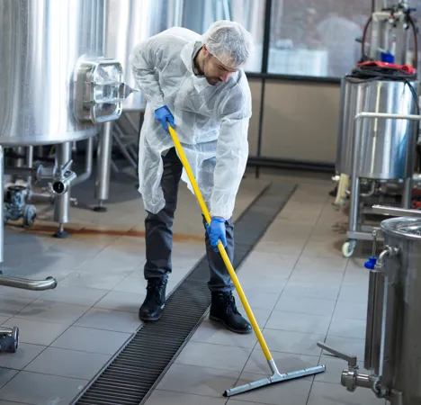 Limpieza especializada profesional en México
