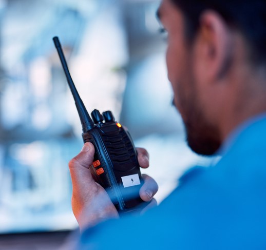 Seguridad privada: prevención de riesgos y consultoría en seguridad