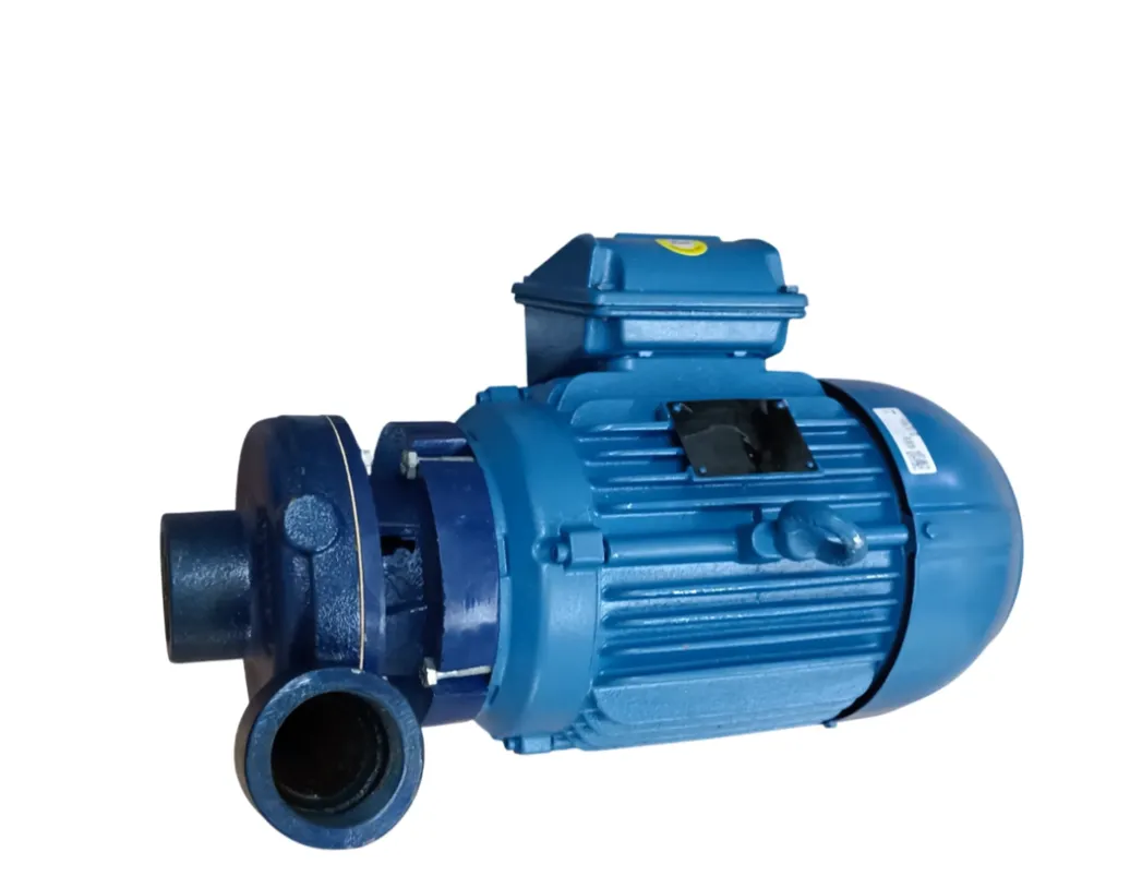 Bomba Centrífuga Trifásica WEG 12969161 10 HP