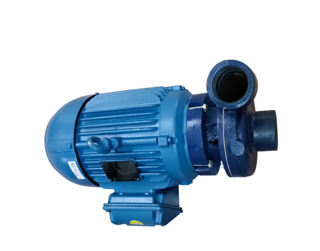Bomba Centrífuga Trifásica WEG 12969159 7.5 HP