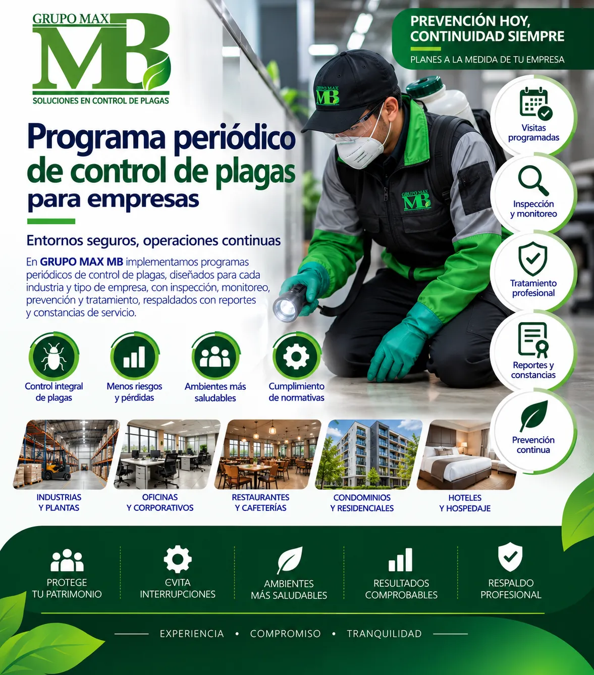 Programa Periódico de Control de Plagas para Empresas